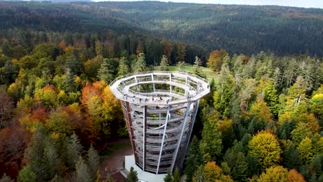 Zoom-Aéreo-Fuera-De-Un-Mirador-Forestal-En-Schwarzwald,-Baumwipfelpfad,-Alemania