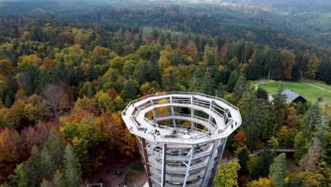 Drehende-Luftdrohnenaufnahme-Im-Schwarzwald-Aussichtspunkt