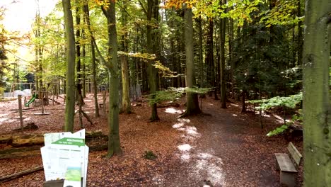 person-flying-a-drone-near-the-entrance-of-the-woods