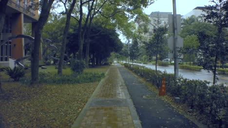 Taipei,-Taiwan---Jan-29th-2019:-slow-walking-mode-view-toward-pedestrian-walkway-pathway-tiled-floor-cement-ground-along-white-and-pink-Rhododendron-flower-plant-at-side-in-park-with-buildings-in-back