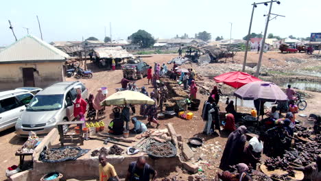 Mercado-De-Pescado-Al-Aire-Libre-En-El-Río-Benue-En-La-Ciudad-De-Ibi,-Nigeria---Sobrevuelo-Aéreo