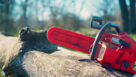 Man-picking-up-a-chainsaw-and-placing-it-on-a-cut-down-tree