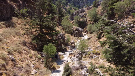 Vista-Aérea-Volando-Sobre-El-Desfiladero-De-Imbros-Mientras-Los-Excursionistas-Caminan-Por-Un-Estrecho-Sendero-Rocoso-Del-Bosque,-Creta