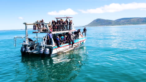 Buque-De-Buceo-En-Jaula-De-Tiburones-En-Sudáfrica-Chumming-Agua-Para-Atraer-Tiburones