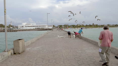 Möwen-Fliegen-über-Dock-Und-Fischer-Puerto-Progreso-Leben-In-Merida-Yucatan-Mexiko