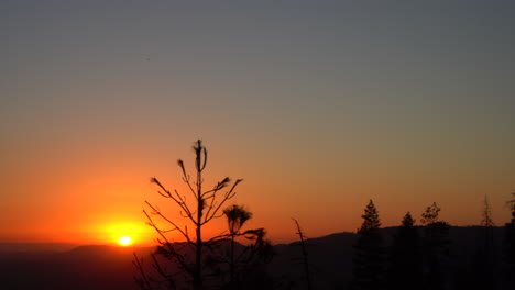 Hermosa-Puesta-De-Sol-De-4k-En-Los-Bosques-Del-Parque-Nacional-De-Yosemite,-California