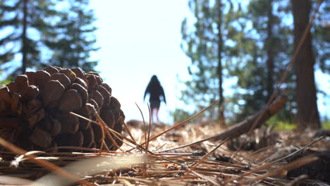 4K-Young-Pretty-Girl-Walking-to-the-edge-of-Yosemite-National-Park,-California