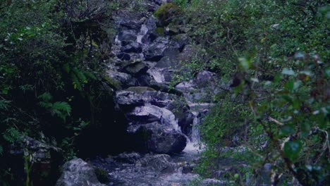 A-bush-water-fall-in-slow-motion-in-New-Zealands-south-island