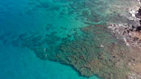 Schnorchler-Vor-Keawakapu-Beach-In-Kihei-Und-Wailea-Maui-Hawaii