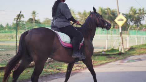 Jinete-Montando-Un-Caballo-Marrón-Oscuro-En-Un-Día-Soleado