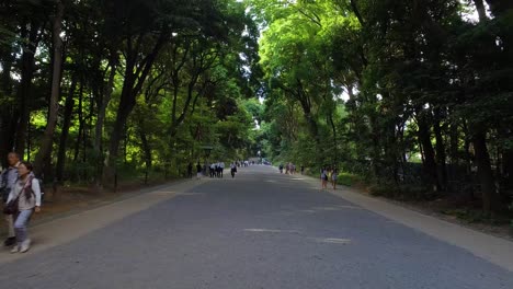 Pov,-Meiji-Shinto-Schreineingang-Zu-Fuß