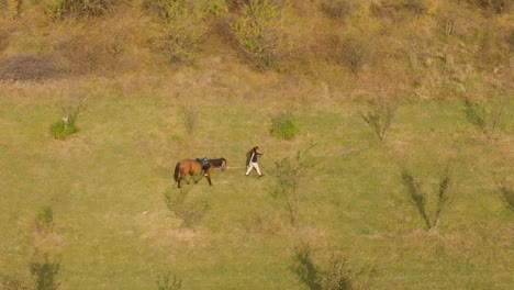 Toma-Aérea-De-Una-Niña-Y-Un-Caballo-Caminando-En-Un-Campo-De-Hierba