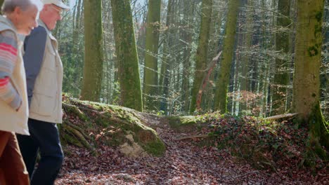 Una-Pareja-De-Ancianos-Caminando-En-El-Bosque