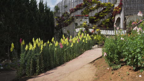 Jardín-Doi-Inthanon-En-Chiang-Mai,-Tailandia