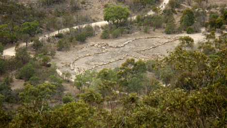 Geoglyphe-Eines-Vogels-Im-You-Yangs-National-Park,-Australien