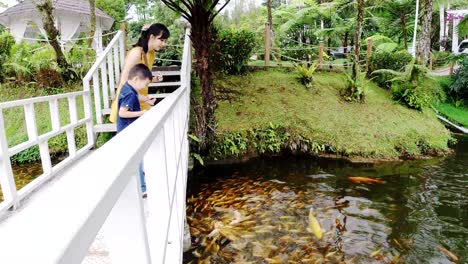 mother-and-son-feeding-koi-fish-at-pond