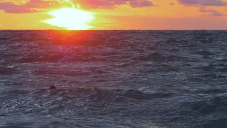 Surfer-on-surfboard-paddling-over-waves-near-the-Baltic-sea-Karosta-beach-at-Liepaja-during-a-beautiful-vibrant-sunset-at-golden-hour,-medium-shot-from-a-distance