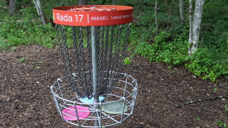 Disc-golf-basket-in-forest