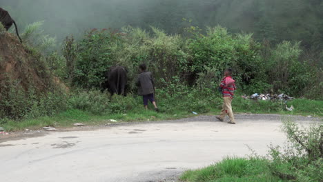 Katmandú,-Nepal---27-De-Septiembre-De-2019:-Dos-Niños-Nepalíes-Pastoreando-Búfalos-De-Agua-En-Las-Montañas-Alrededor-De-Katmandú,-Nepal-El-27-De-Septiembre-De-2019