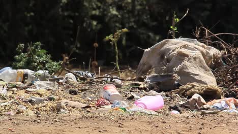 Cubo-De-Basura-Con-Papeles-Y-Plásticos-Que-Contaminan-El-Medio-Ambiente