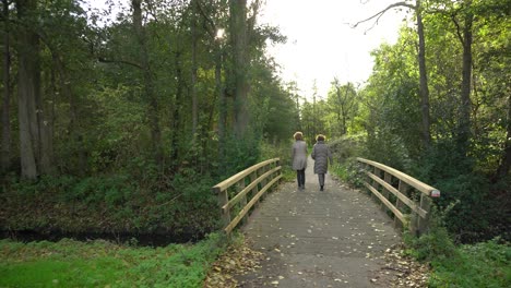 Dos-Mujeres-Caminando-Por-Un-Puente-Peatonal-A-Través-De-Un-Camino-Forestal-Durante-El-Día