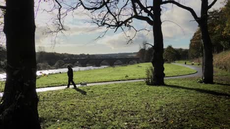 Aberdeen-Riverside-Park-Mit-Blick-Auf-Die-Alte-Brücke-Von-Dee-Mit-Einem-Mann,-Der-Mit-Seinem-Hund-Spazieren-Geht