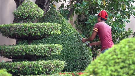 Mann-Schneidet-Hecke-Mit-Heckenschere-In-Einem-Garten