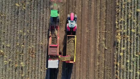 A-stunning-top-down-view-of-a-potato-harvester-at-work-in-a-dry,-dusty-field,-on-a-beautiful-sunny-day,-with-a-tractor-and-trailer-driving-alongside-to-catch-the-harvested-potatoes