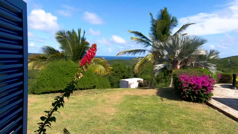 Una-Vista-Constante-Del-Océano-Desde-El-Centro-De-Interpretación-De-Dow&#39;s-Hill,-Mientras-La-Brisa-Sopla-Entre-Las-Palmeras