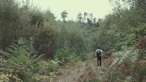 Young-man-hikes-into-wilderness-wearing-backpack