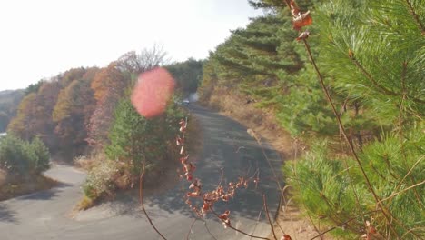 Wide-Angle-of-Two-Nissan-Silvia-Cars-Synchronized-Drifting-into-Frame