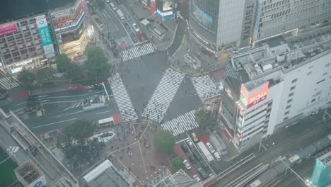 Superweitwinkelaufnahme-Von-Oben-Nach-Unten-Von-Menschen,-Die-In-Der-Abenddämmerung-Den-Shibuya-Übergang-überqueren