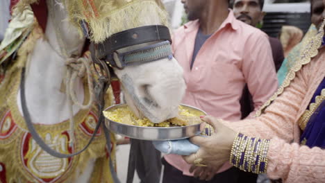 Una-Mujer-Alimentando-A-Una-Yegua-De-Bodas-En-Uttarakhand-India