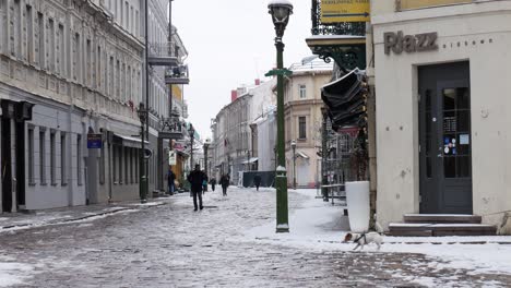 Gente-Y-Paseos-De-Perros-En-El-Casco-Antiguo-De-La-Ciudad-De-Kaunas-Durante-La-Temporada-De-Invierno