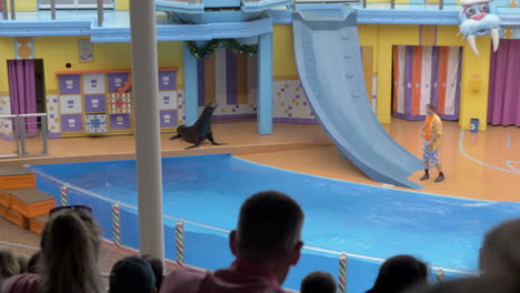 Eine-Kegelrobbe-Fängt-Fische,-Die-Ein-Trainer-Während-Einer-Kindershow-Im-Seaworld-In-Zeitlupe-Wirft