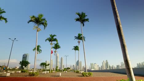 Un-Atleta-Monta-En-Bicicleta-En-Un-Hermoso-Día-Soleado