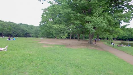 Diaansicht-Des-Yoyogi-Parks-Mit-Menschen