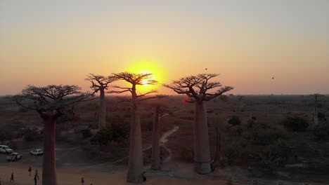 Luftaufnahme:-Sonnenuntergang-An-Der-Allee-Der-Baobabs-In-Madagaskar