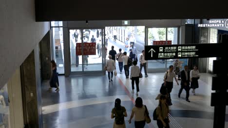 Impresiones-De-La-Cultura-Japonesa-En-Tokio,-Kyoto,-Osaka,-Koyasan,-Japón,-Asia