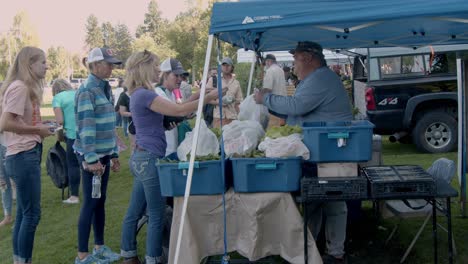 Farmers-Market-in-Bozeman-Montana