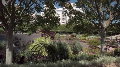 Panning-shot-looking-at-the-Getty-center,-between-trees,-on-a-sunny-day,-Los-Angeles,-California