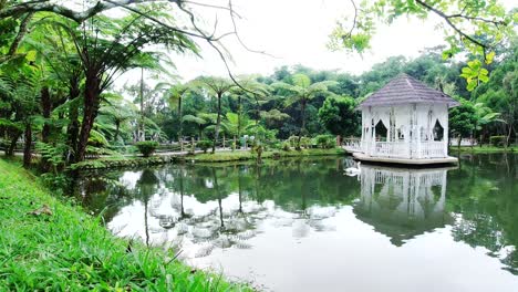 Weißer-Schwan,-Pavillon-Und-Teich