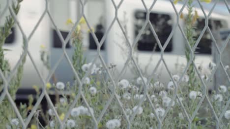 Train-carriages-slowly-leaving-railway-station-view-through-railway-fencing