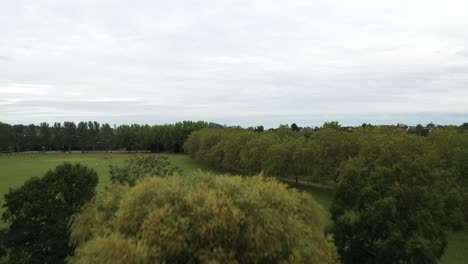 Aerial-View-from-Kenton-Recreation-Ground-in-Harrow,-North-West-London