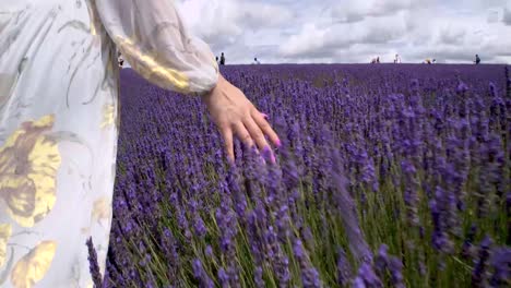 Mano-De-Mujer-Atravesando-El-Campo-De-Lavanda-En-Cámara-Lenta-60fps-Anamórfico-4k-Colores-Naturales-Estabilizados-Con-Calidad-De-Transmisión