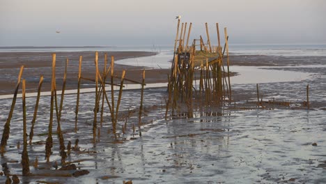 Carrasqueira-Palafitic-Pier-In-Comporta,-Portugal-Bei-Sonnenuntergang