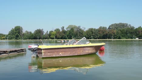 Rowing-team-summer-training