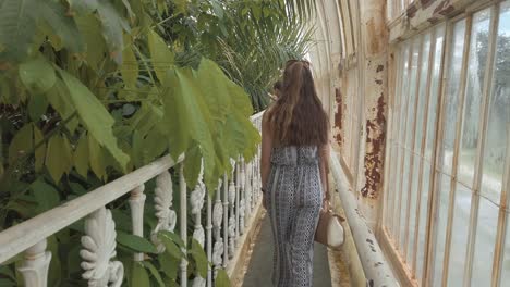 tourists-walking-along-a-balcony-exploring-the-tree-canopies-at-Kew-Gardens,-London