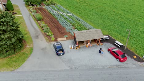 Antena-De-Dos-Mujeres-Comprando-En-Un-Puesto-De-Productos-Al-Borde-De-La-Carretera-Amish-En-El-País-Amish,-Pensilvania