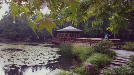 Japanische-Gartenbrücke,-Regen-Und-Ruhige-Szene,-Zeitlupenschwenk